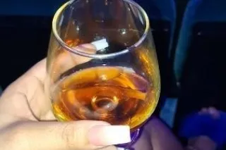 🥂Elegant companion🥂 photo 1