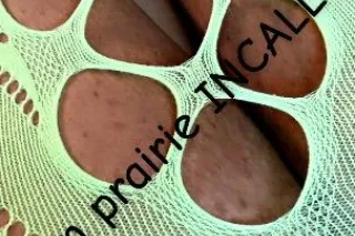 SUN PRAIRIE INCALL ONLY photo 2