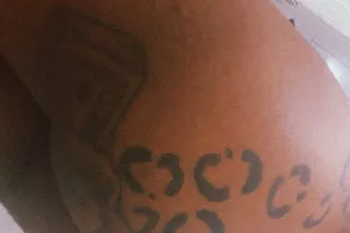 Incall (wanna go greek) your personal pornstar-Stephaniee Creme