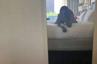 Ready to Please and Satisfy You Now 😝💦💦 Ts Rihanna photo 6
