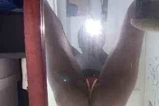 Incall photo 1