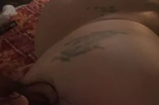 bbw persian sunday last day for funday 🥳🥳🥳🥳🥳💋💋💋😘💯 photo 2