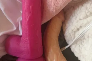 petite chocolate photo 1