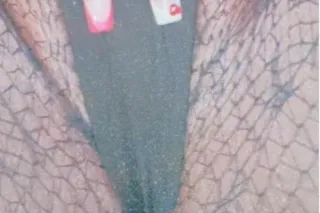 Creamyyyyy Candyyyyy Saturday Super Soaker BBW 💦😻😻 Incalls Onlyyy photo 3