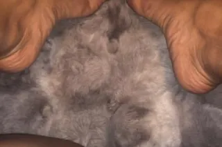 FIRST TIME FT / content special💦🩵 THROAT GOAT🥰🥵