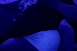 $100 QV!! BBW!! NORTH ATTLEBORO!!! photo 5