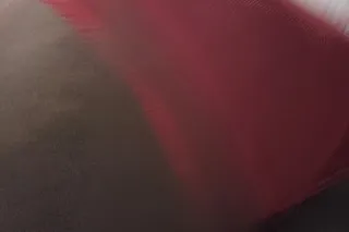 Greek only photo 7