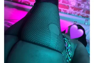 Come see Cinnamon photo 6