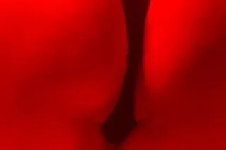 💋Big Juicy Bootty💋No Meet Ups photo 4