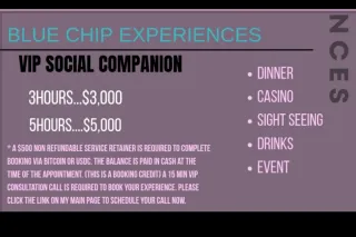 2026 World Soccer Tournament VIP COMPANION photo 6