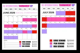 2026 World Soccer Tournament VIP COMPANION