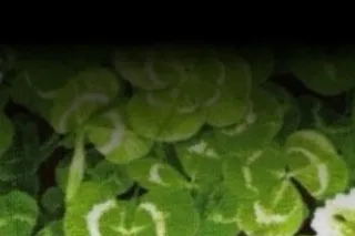 😈 Hey You…This is your sign 💚💰Open it. Now. photo 9