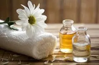 Massage Therapist