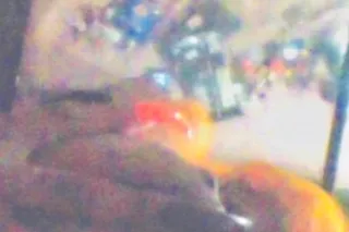 💰💵🤑💲BIG BOOTY STRIPPER IN DA HOOD cum buttFCK ME ANAL + HEAD +CARPLAY🔥 I WONT SAY NO 2 HEAD ONLY ❗IM A BOTTOM rimIN ^PEG 🚹UPSCALE✅ BALLERS EC AREA ONLY💲2⃣9⃣5⃣ fa WEEK🛍🏩 HOTEL UR CHOICE 😵👑🍆🍭 im wit da SH💩 photo 10