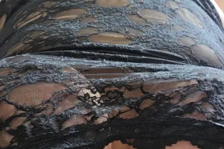 come taste me photo 4