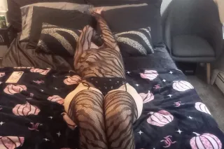 💋 Guaranteed To Reduce Stress In 100% Of Clients Seen~ Book With Me Today!! 🤩📱💋🍑💦✔ photo 9