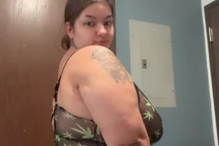 WET AND READY