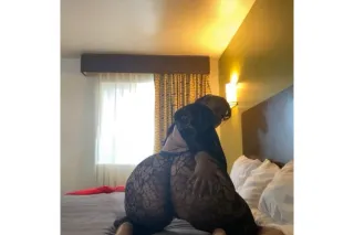 👅 cardates🚗, FACETIME/GOOLE DUO SHOWS 😍📹📱🏘available OUTCALLS AVAILABLE 24/7 THICK EXOTIC fun💋 💦SEXY TREAT🍭✨𝐻𝑖𝑔ℎ𝑙𝑦 𝑅𝑒𝑣𝑖𝑒𝑤𝑒𝑑，𝑈𝑝𝑠𝑐𝑎𝑙𝑒，𝐷𝑖𝑠𝑐𝑟𝑒𝑒t
