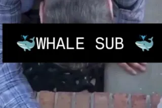 Findominatrix ,Pay pigs 🐷,Whale 🐳 sub FINDOM HERE🌧💦💦👑 Read the ad !! only doing online, Virtual sessions!!⛓⛓🏽🥷🏽⛓⛓⛓⛓⛓🎥🎥🎥🎥SHY MEN ,NERDS MESSAGE ME 🌞 photo 5