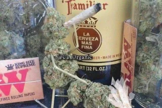 ᑎᗩᑌᘜᕼTY ᕼᗩᗷITՏ with ᑕᑌᖇᐯY Jenelleredz💸կշօ 𝙵𝚁𝙸𝙴𝙽𝙳𝙻𝚈★ photo 11