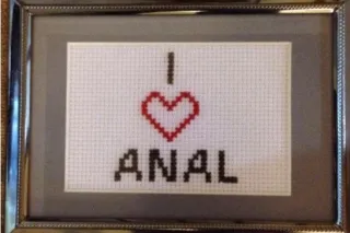 SUNNY LOVES ANAL .. photo 7
