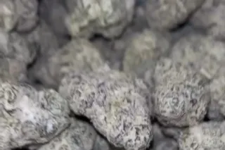 Gas On Deck⛽🍃 photo 2