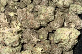 Gas On Deck⛽🍃 photo 3