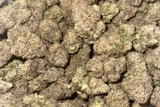 Gas On Deck⛽🍃 photo 4