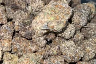 Gas On Deck⛽🍃