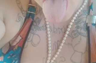 PATCHOGE CARDATE 💦💥👅🧠 INCALL photo 3
