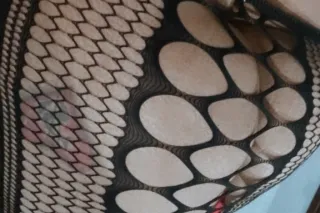 klynn the spanish cream GODDESSS photo 5
