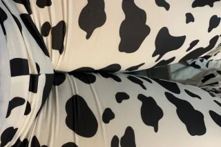 🐄🐄🐄🐄🐄🥛🍼🍼🍼🐄🥛 got milk photo 4