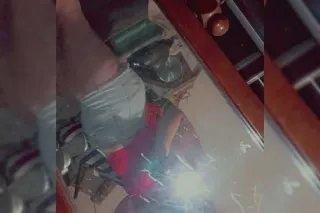early bird incall discount photo 4