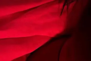 hey babes I'm back ! let's have a good time daddy