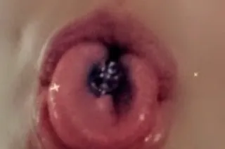 💦👅45🌹BNG AVAILABLE . EVERY MAN SHOULD BE TREATED LIKE A KING, SO CUM GET UR ROYAL TREATMENT. photo 9