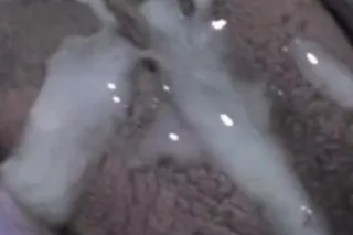 💋CREAMPIES💋 CUM SWALLOWS💋Qv 100 photo 2